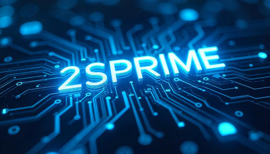 2SPrime – The Comprehensive Solution for Successful Online Business